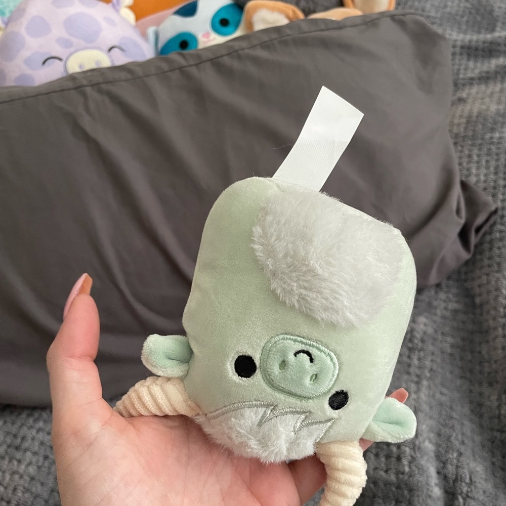 Mini Squishmallow - Picture 6 of 7